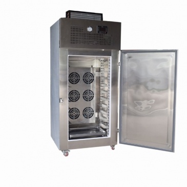 Baja temperatura de acero inoxidable congelador de aire forzado