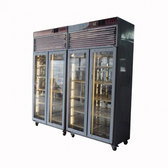 Mejor venta de dos puertas de oro Rosa de acero inoxidable de carne de secado de la pantalla del congelador 