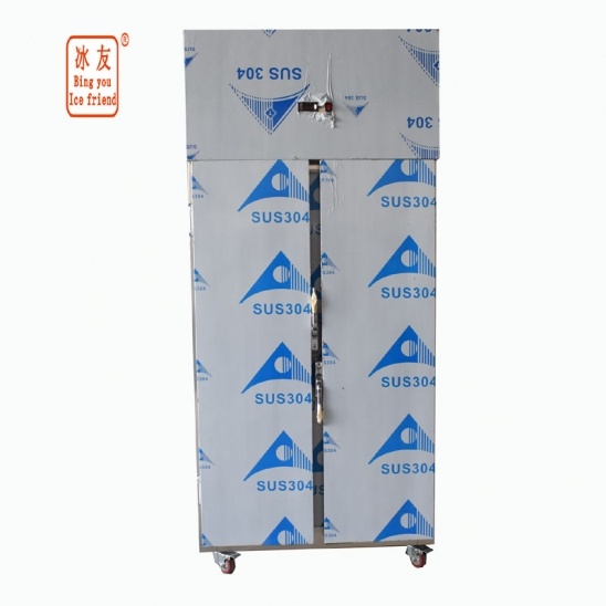 Pequeño de dos puertas Restaurante de Cocina de acero inoxidable congelador Equipo 
