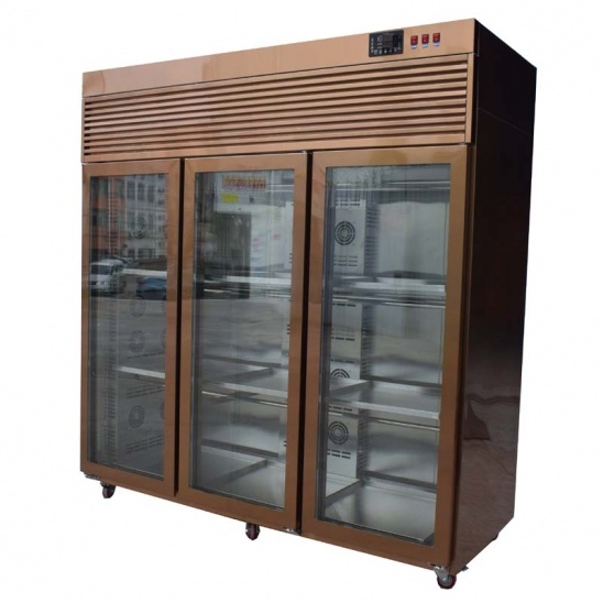 Tres de la puerta de vidrio de acero inoxidable 304 de Viento de Ganso pantalla congelador 